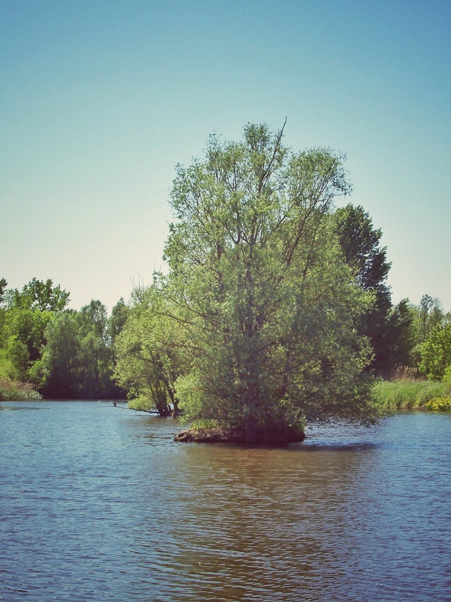 Wateroverstroomgebied Woolde – Hengelo, the Netherlands