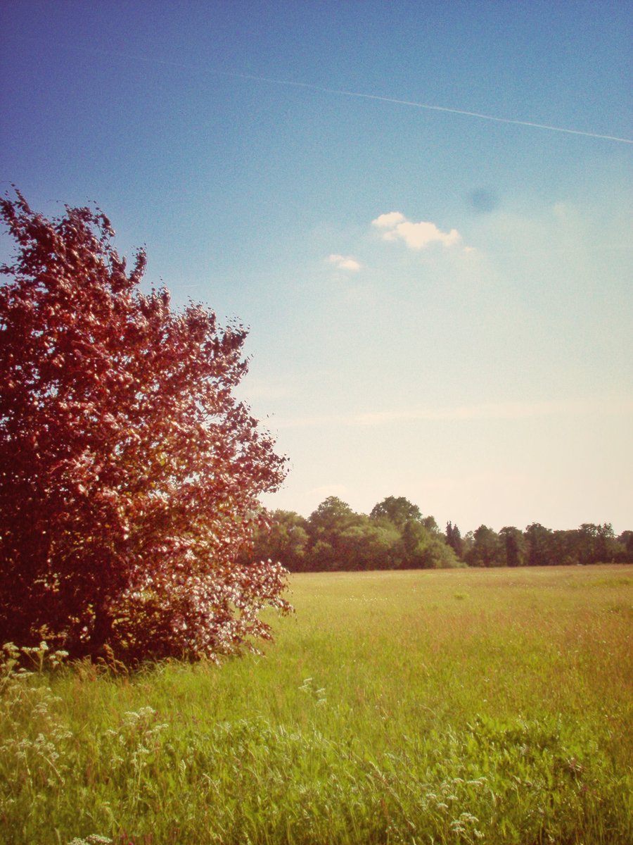 Houtmaatweg – Hengelo, the Netherlands