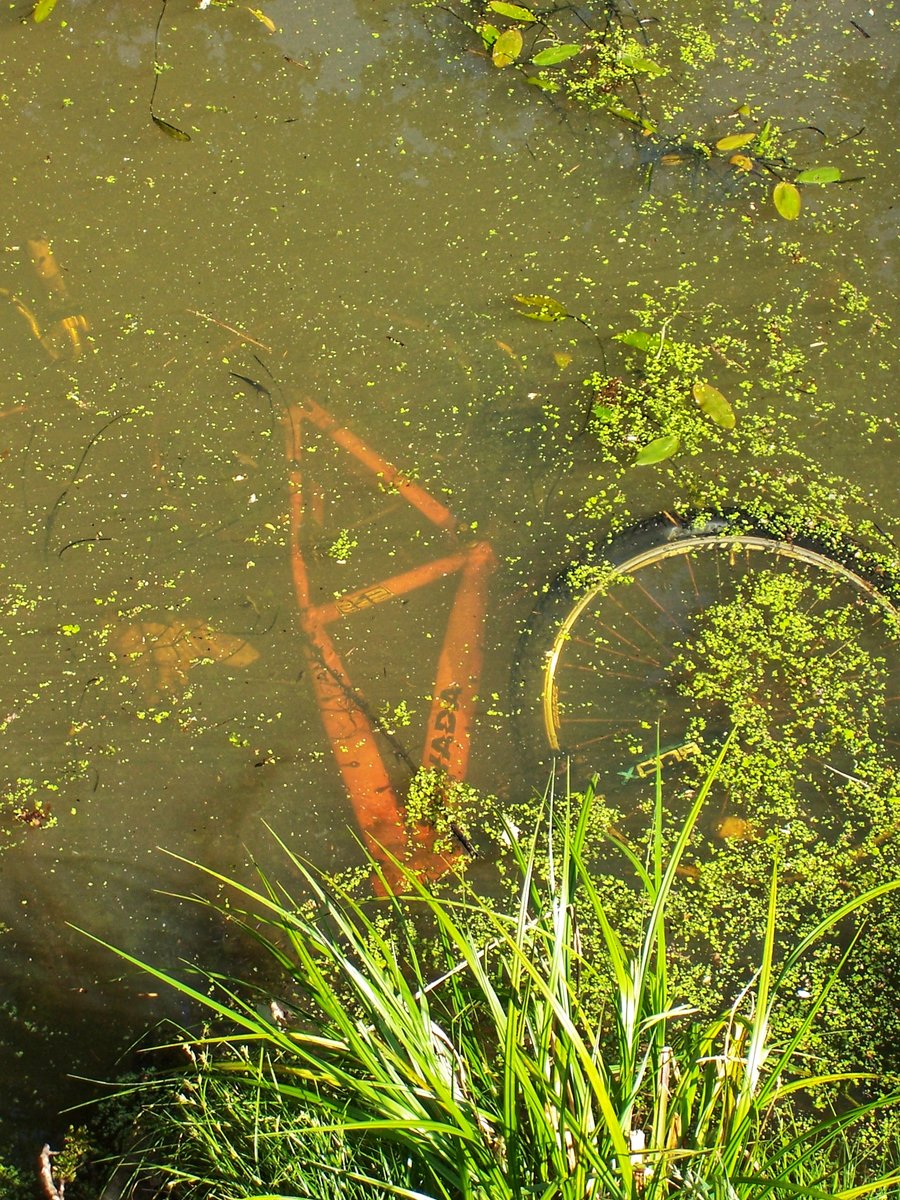 Geocaching surrounding Hertme, the Netherlands