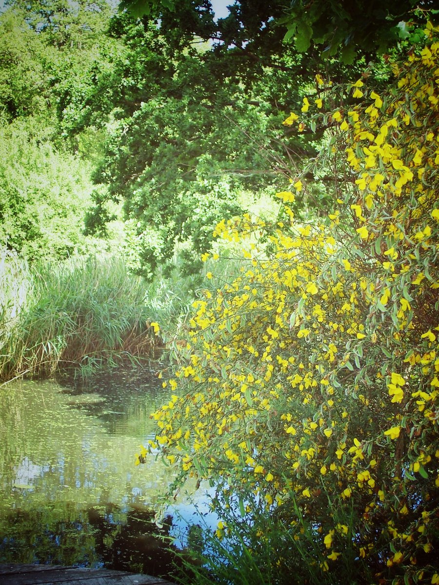 Geocaching surrounding Hertme, the Netherlands