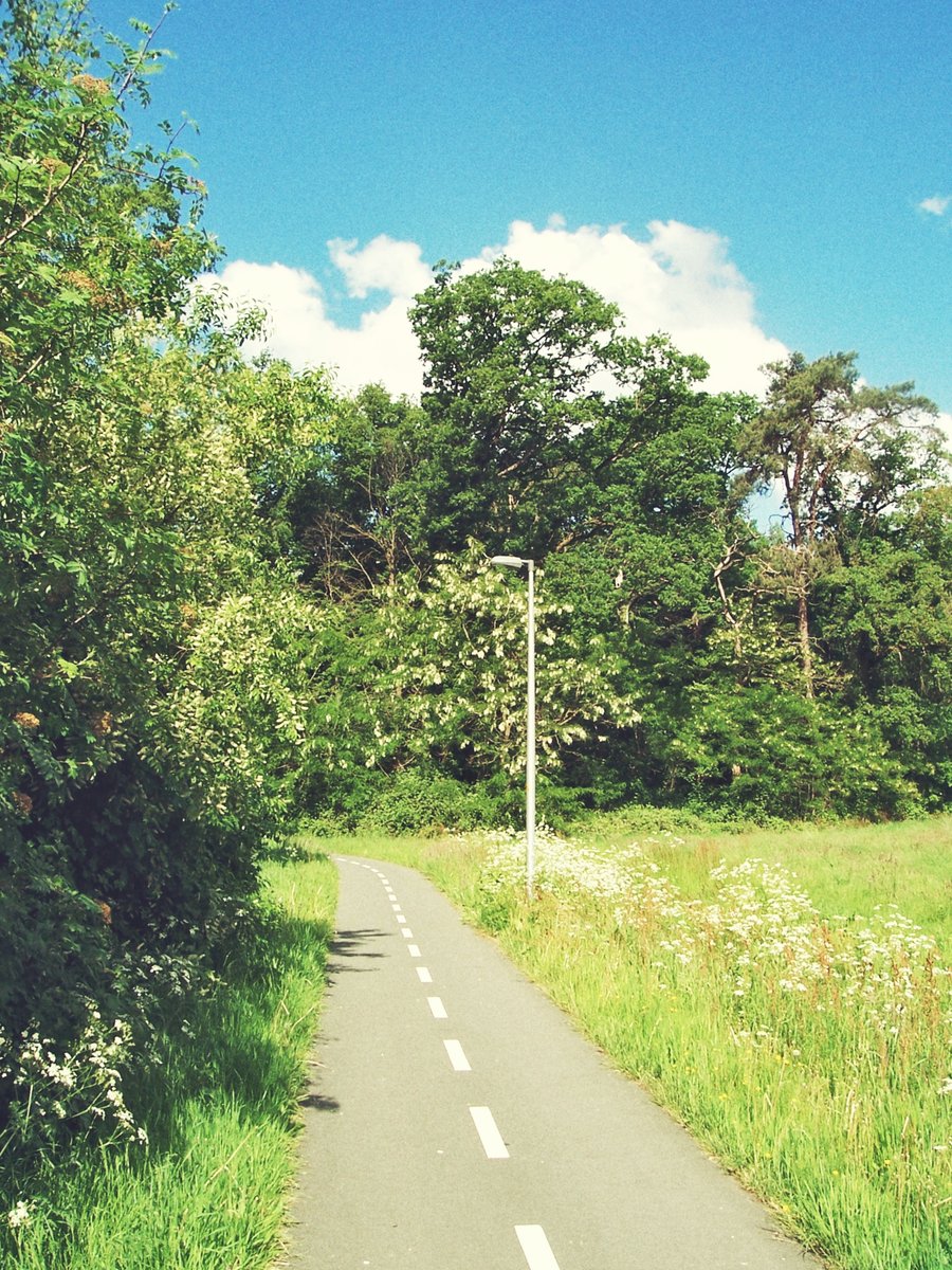 Geocaching surrounding Hertme, the Netherlands