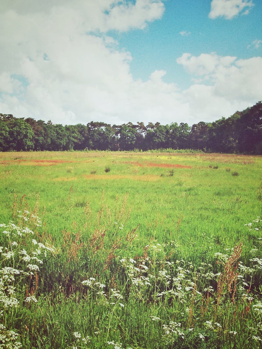 Geocaching surrounding Hertme, the Netherlands