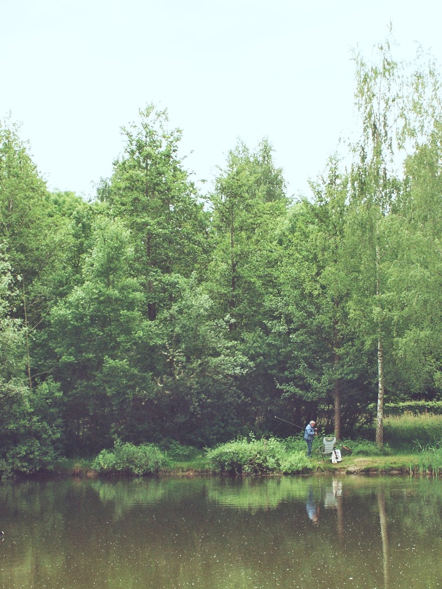 Geocaching Oele surroundings – Hengelo, the Netherlands