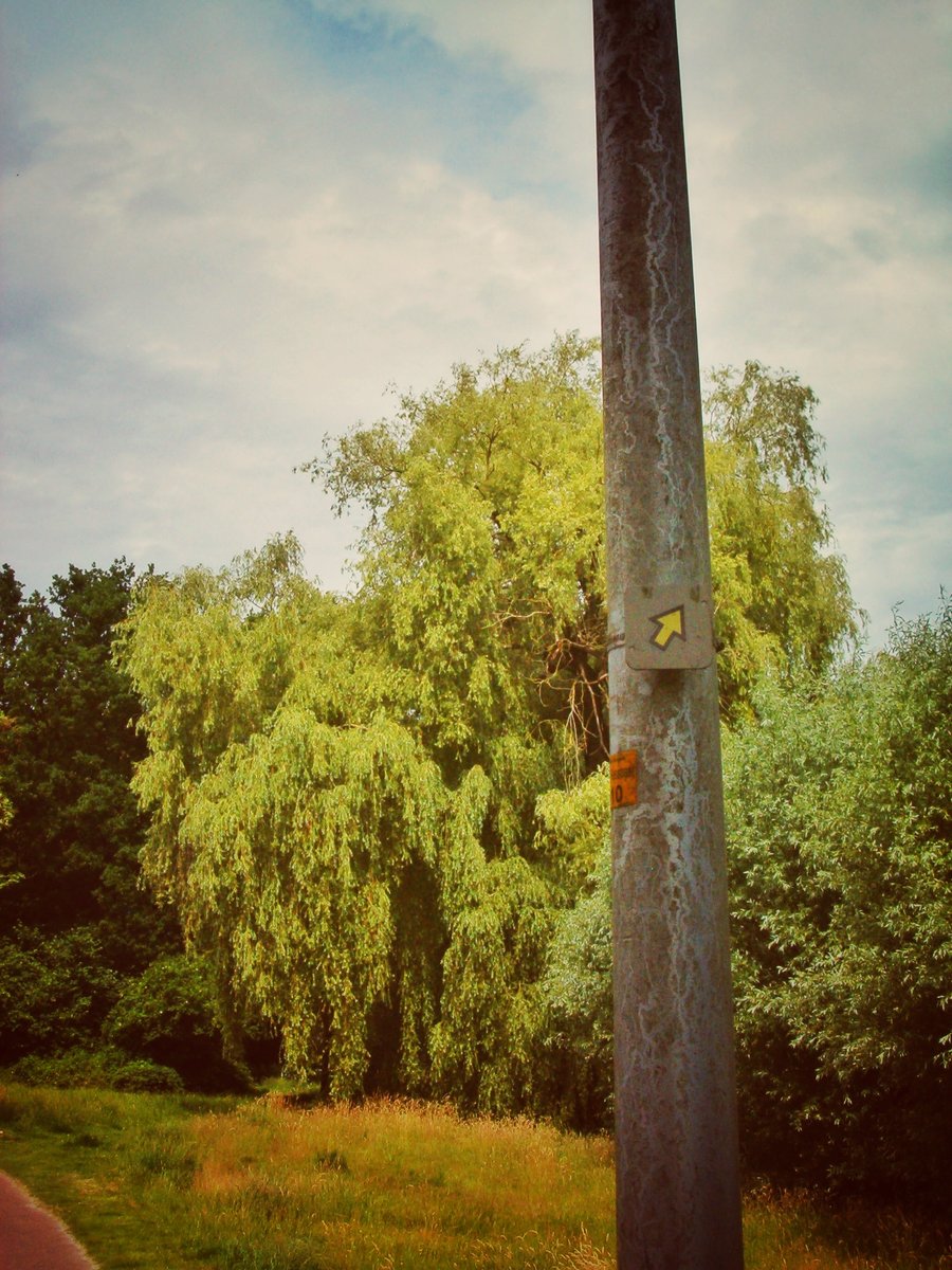 Hesbeekpad – Hengelo, the Netherlands