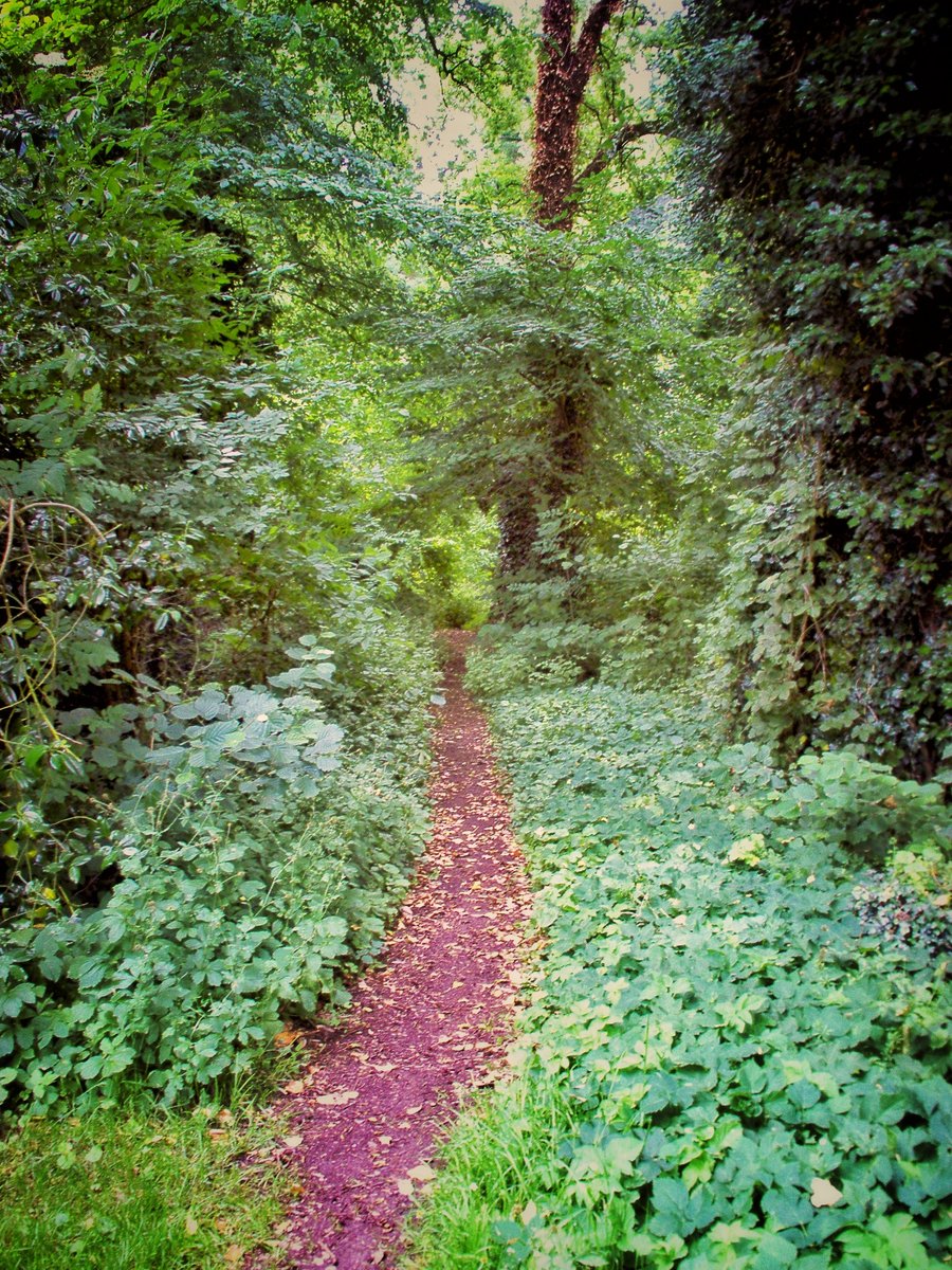 Brouwertsweg – Hengelo, the Netherlands