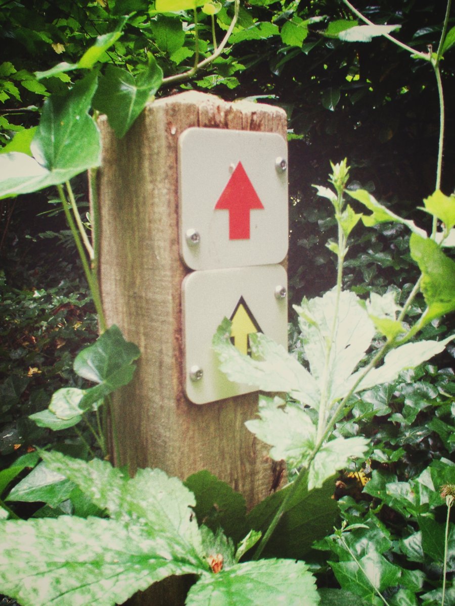 Brouwertsweg – Hengelo, the Netherlands