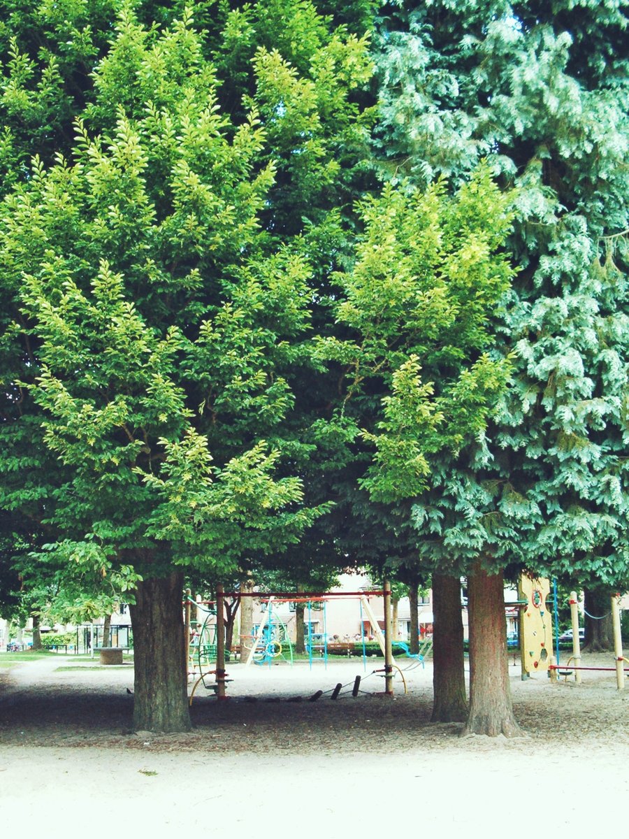Hesbeek surroundings – Hengelo, the Netherlands
