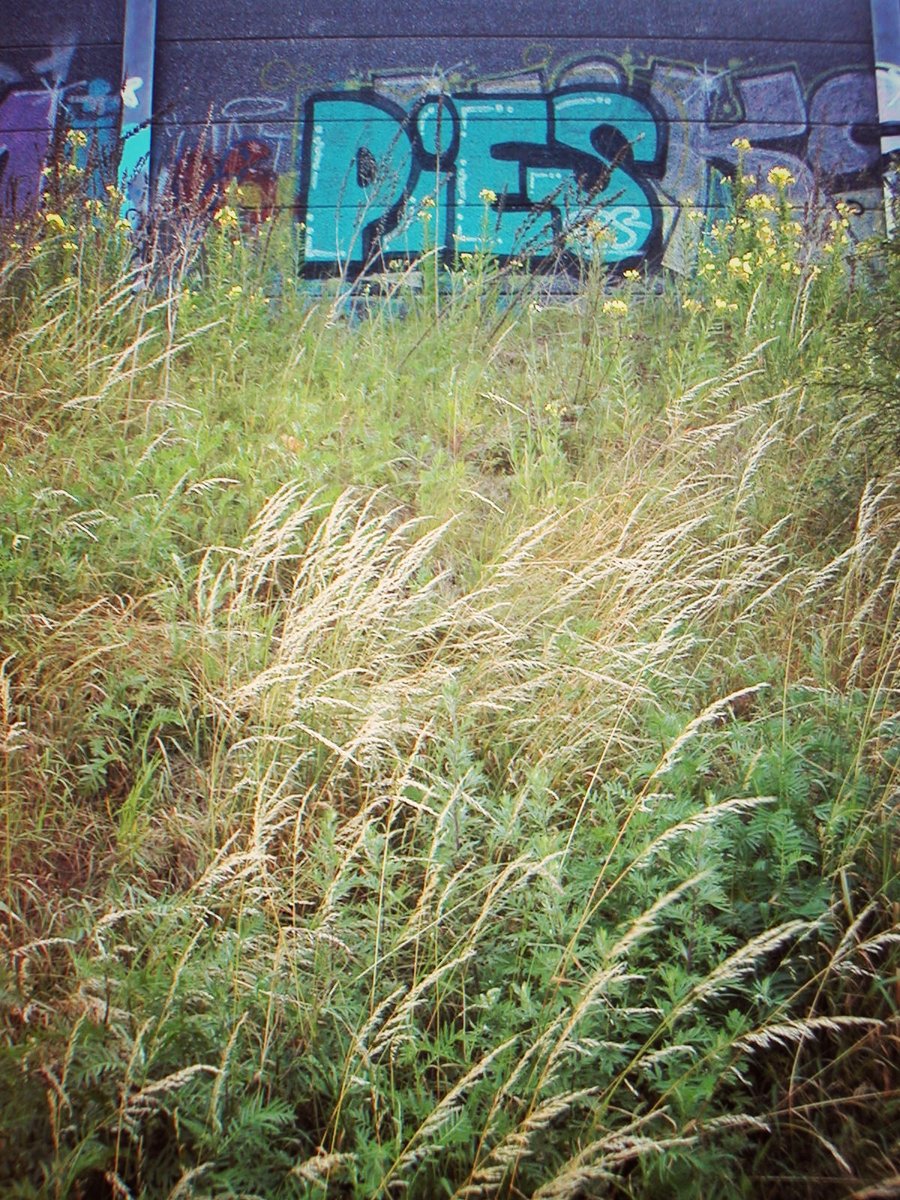 Near verlengde Polluxweg – Hengelo, the Netherlands