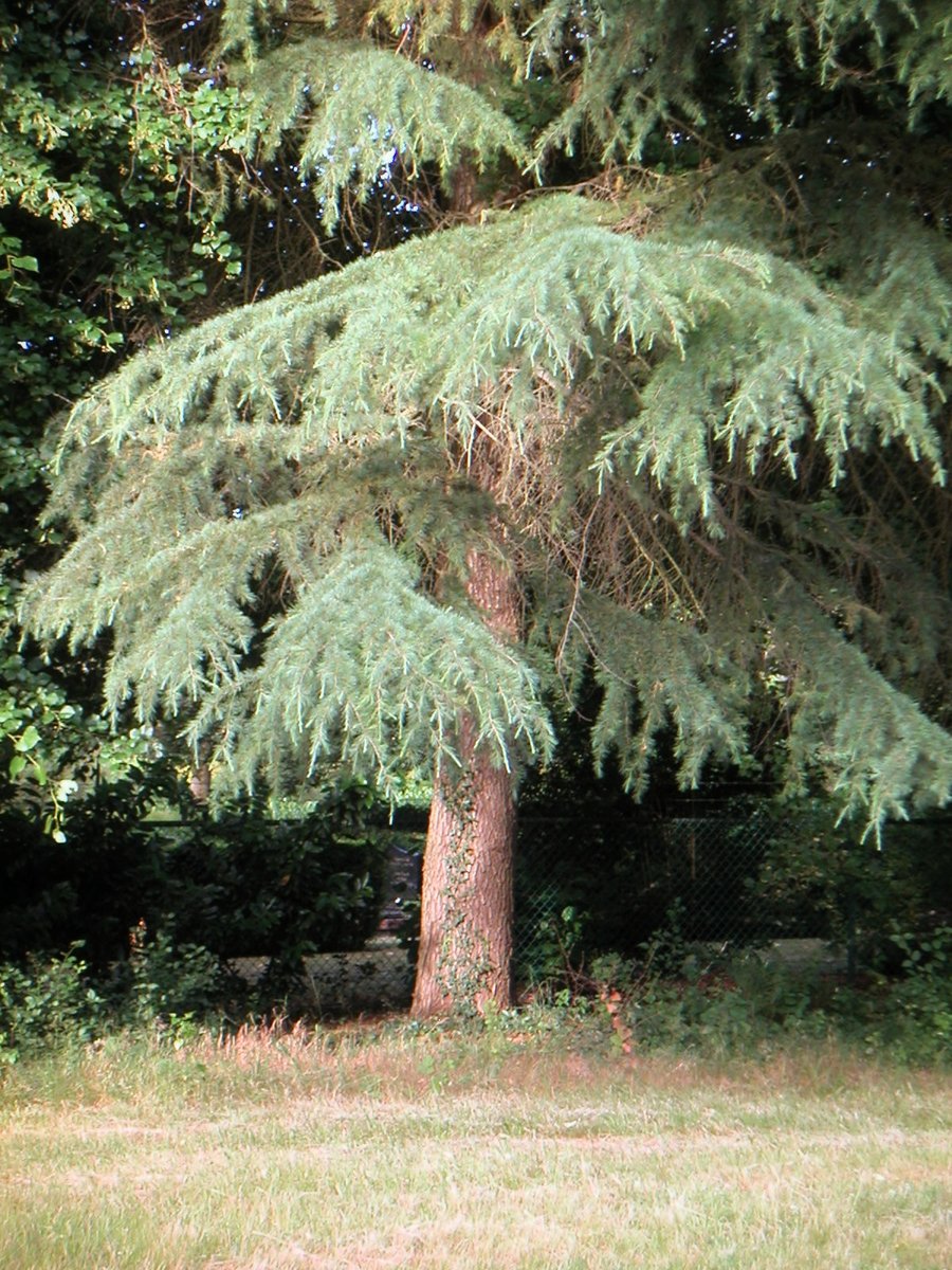 Near verlengde Polluxweg – Hengelo, the Netherlands