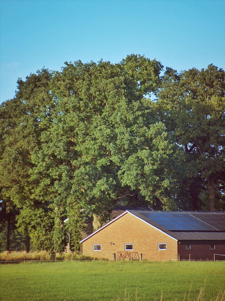 Hasselerbeek area – Hengelo, the Netherlands
