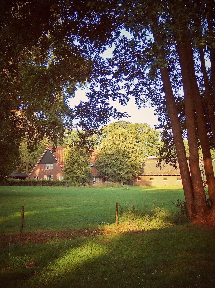 Hasselerbeek area – Hengelo, the Netherlands