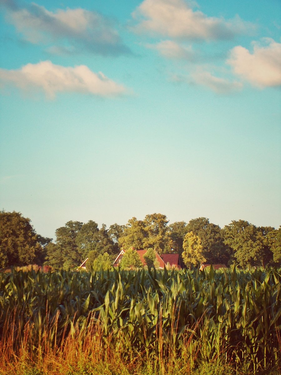 Hasselerbeek area – Hengelo, the Netherlands