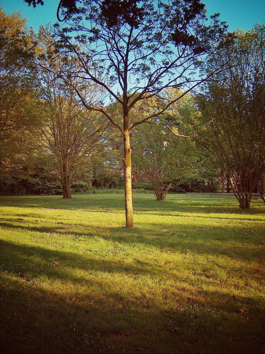 Hasselerbeek area part 2 – Hengelo, the Netherlands