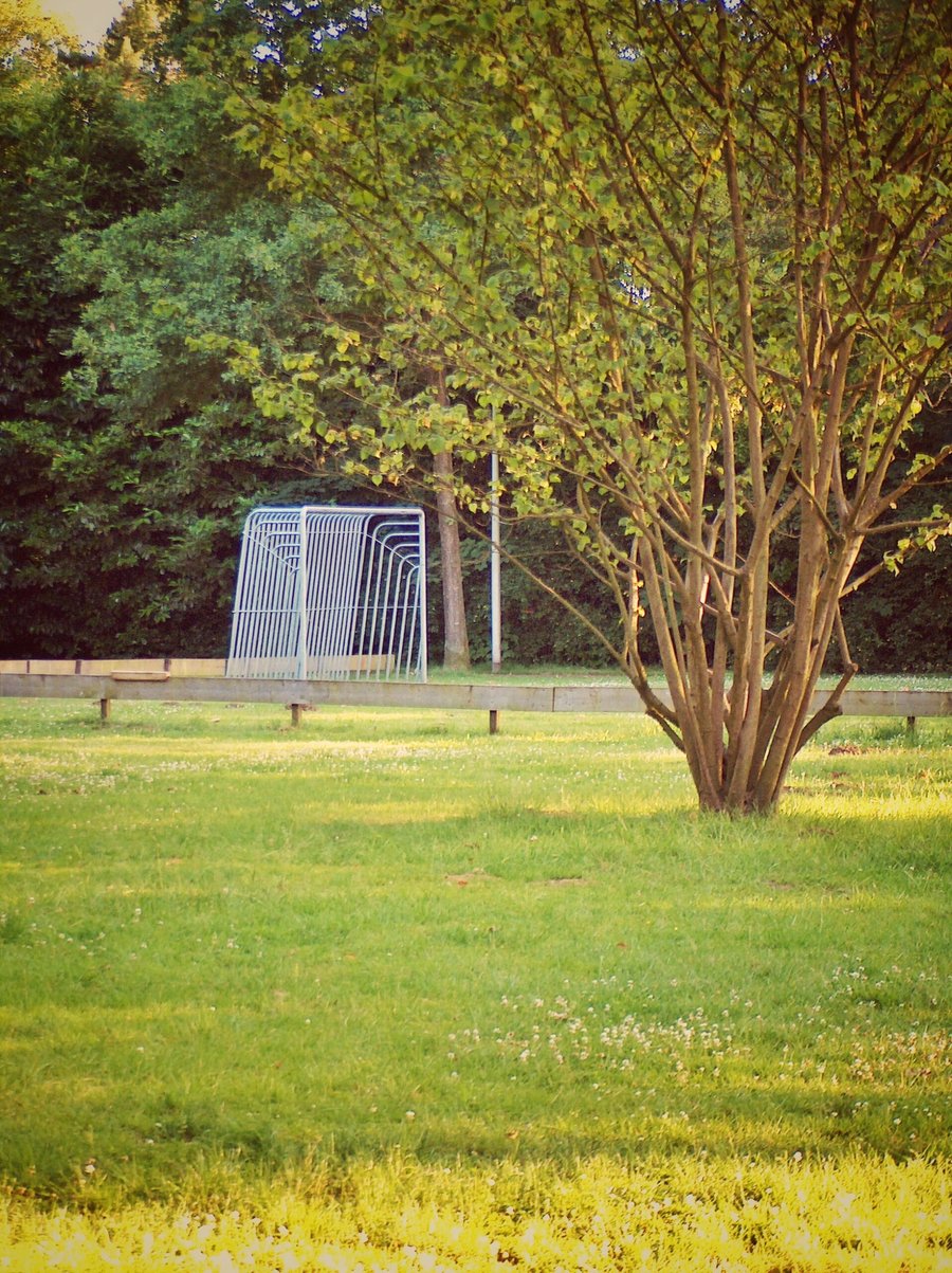 Hasselerbeek area part 2 – Hengelo, the Netherlands