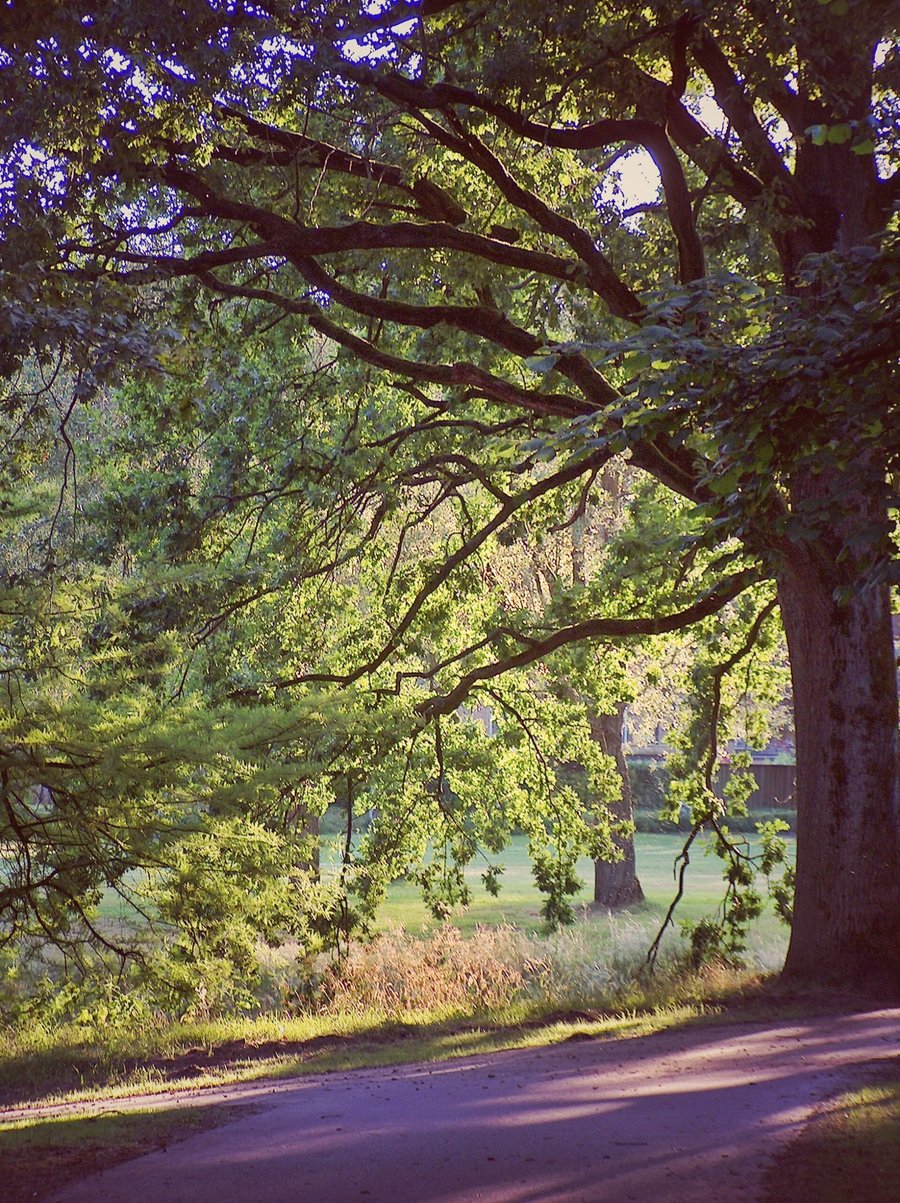 Hasselerbeek area part 2 – Hengelo, the Netherlands