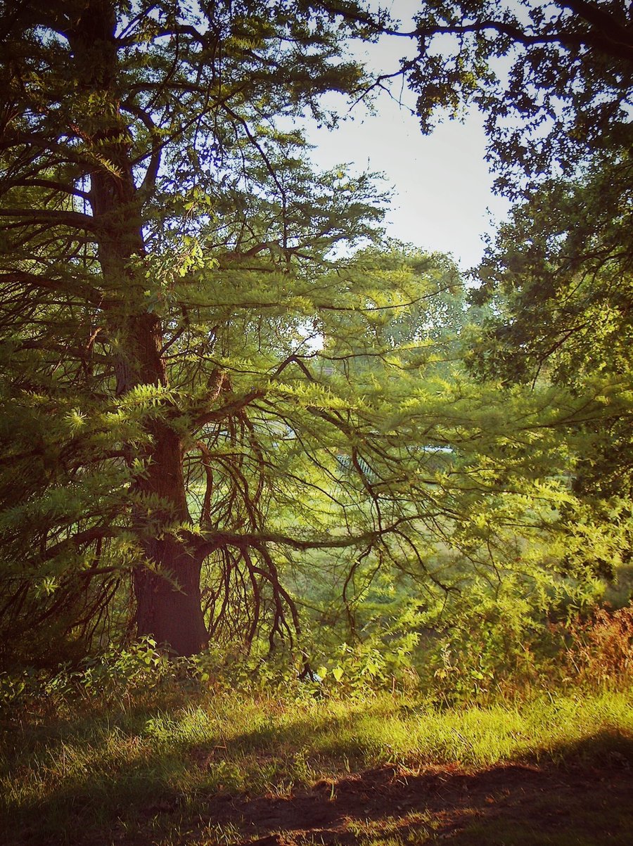Hasselerbeek area part 2 – Hengelo, the Netherlands