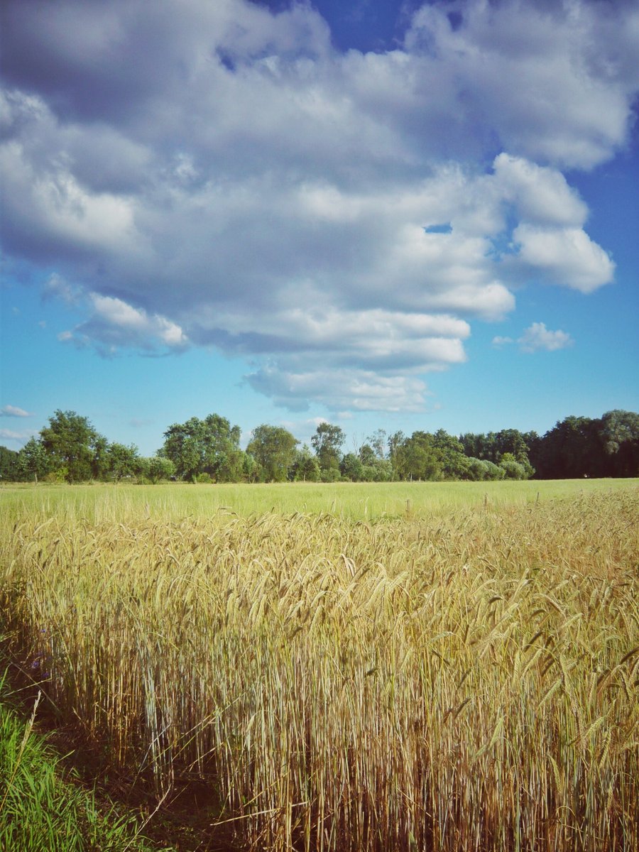 Houtmaatweg – Hengelo, the Netherlands