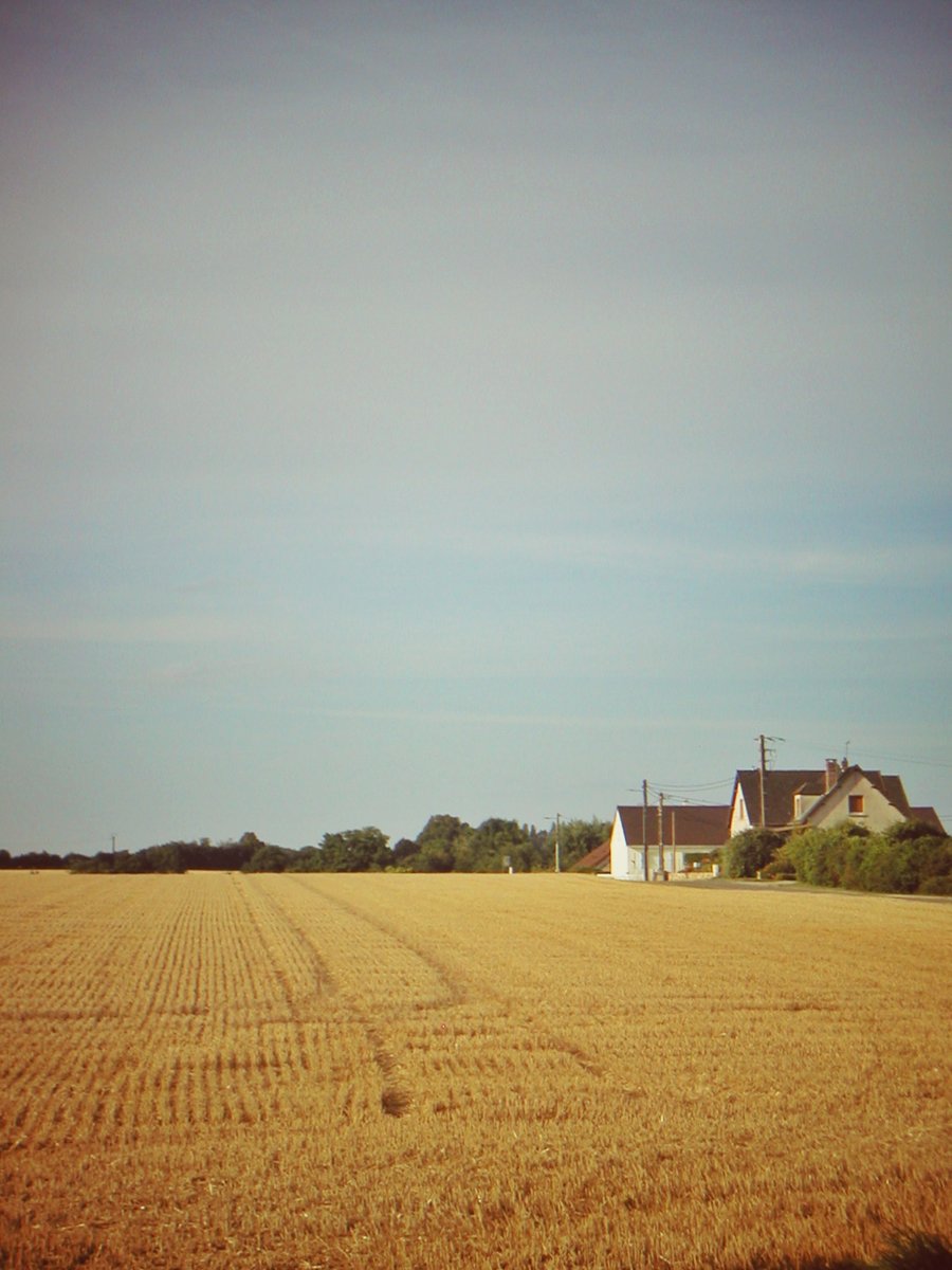 Field in Baye, France