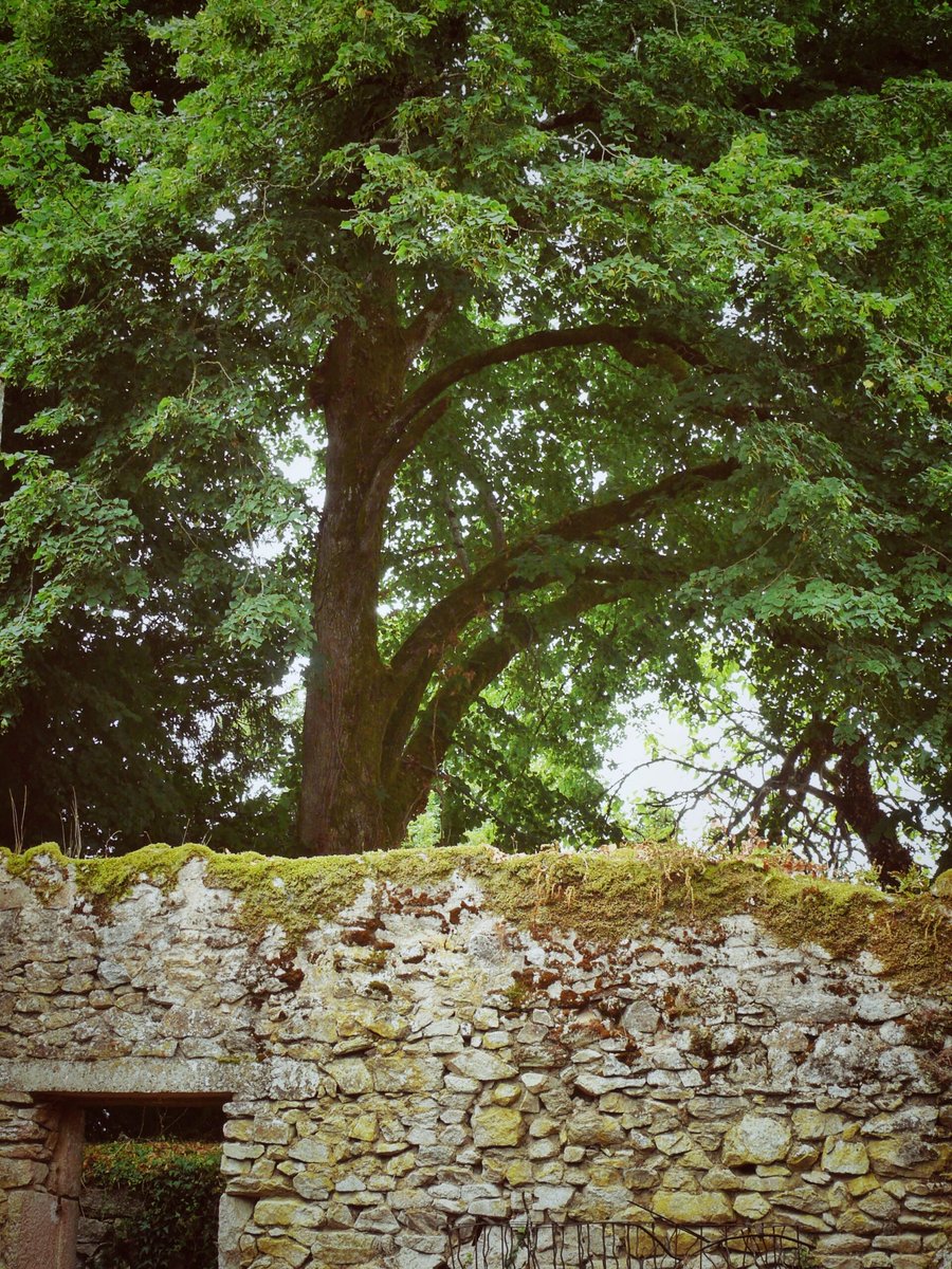 Village martyr d’Oradour-sur-Glane – part 2, France