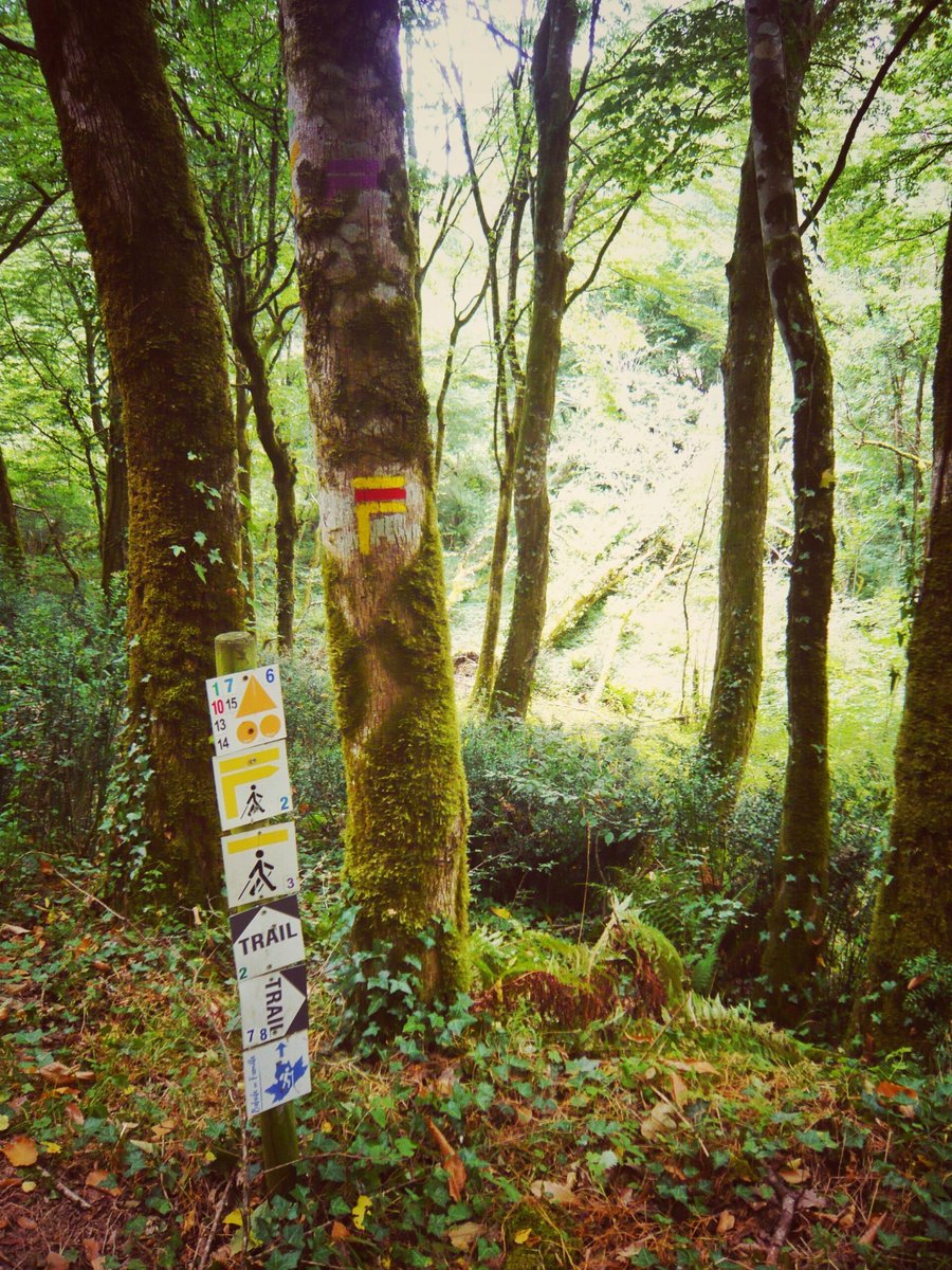 Walk at La Tricherie part 2, France