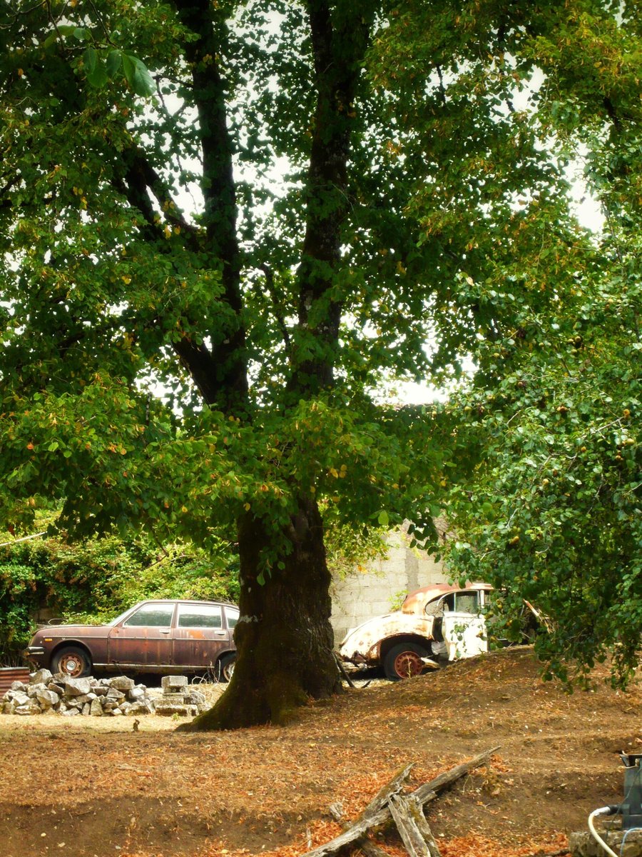 Walk at La Tricherie part 2, France