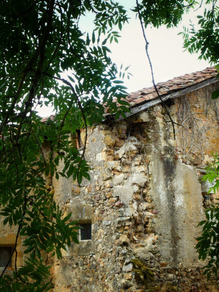 Walk at La Tricherie part 2, France