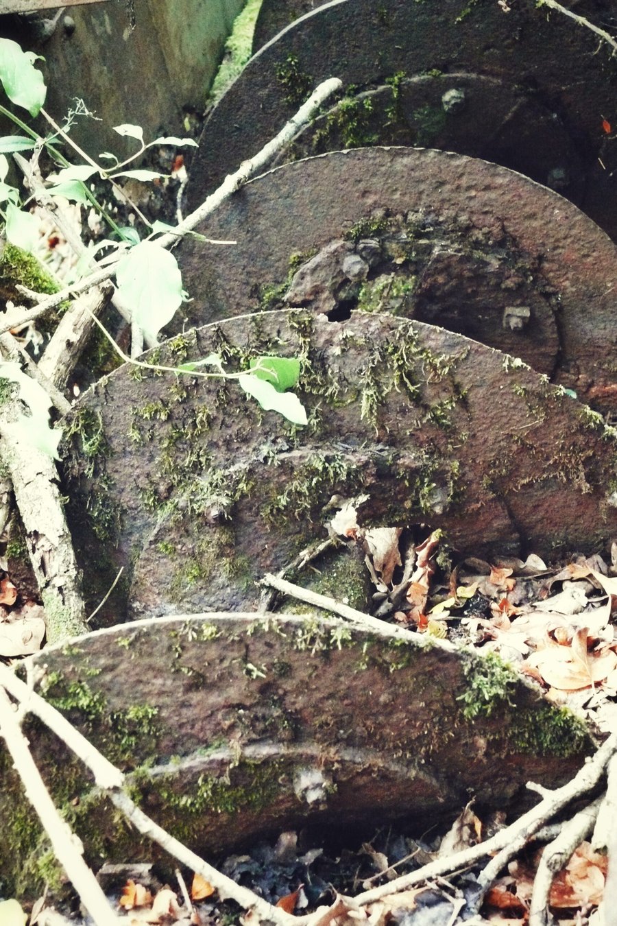 Abandoned machinery, France