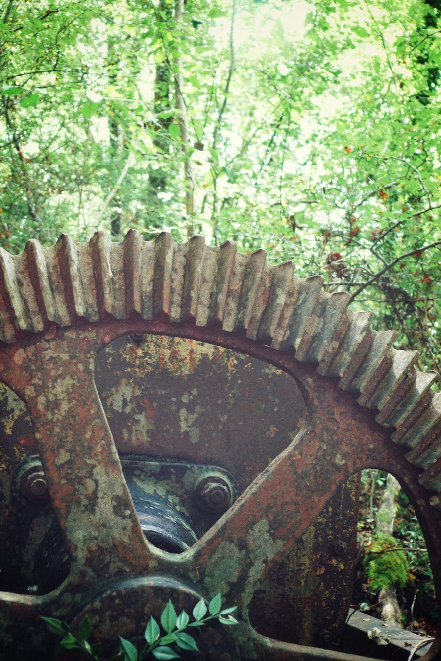Abandoned machinery, France