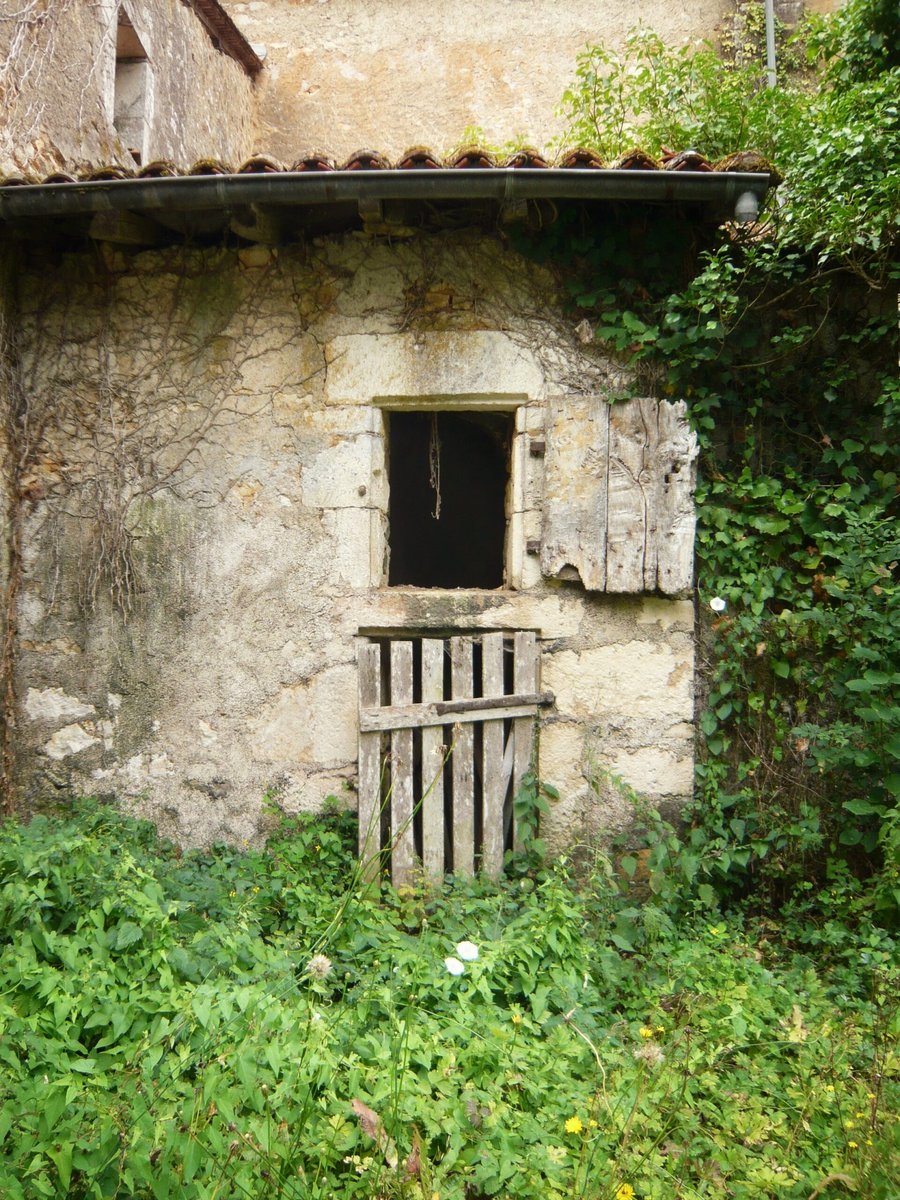 Walk in Javerlhac, France