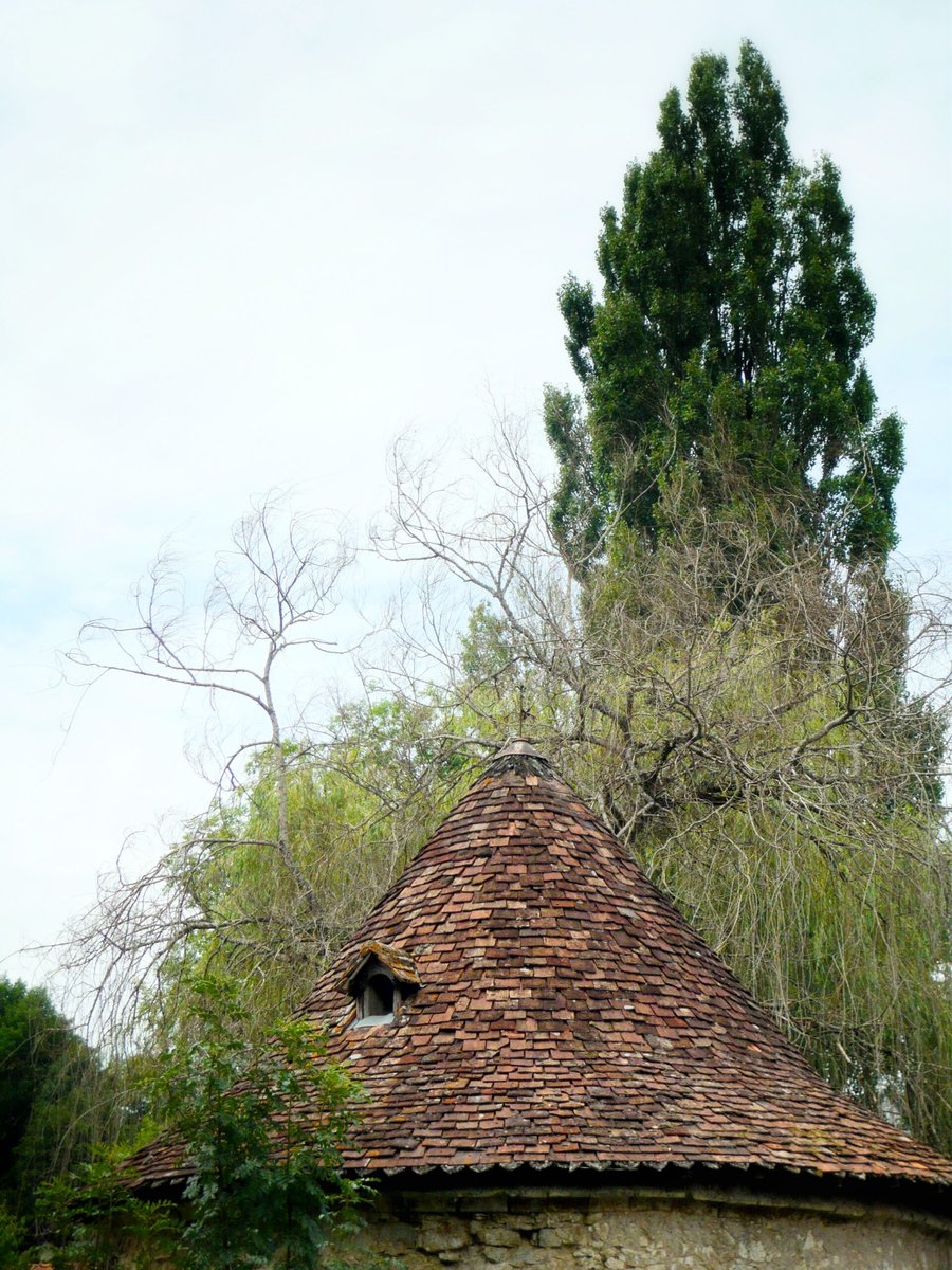 Walk in Javerlhac, France
