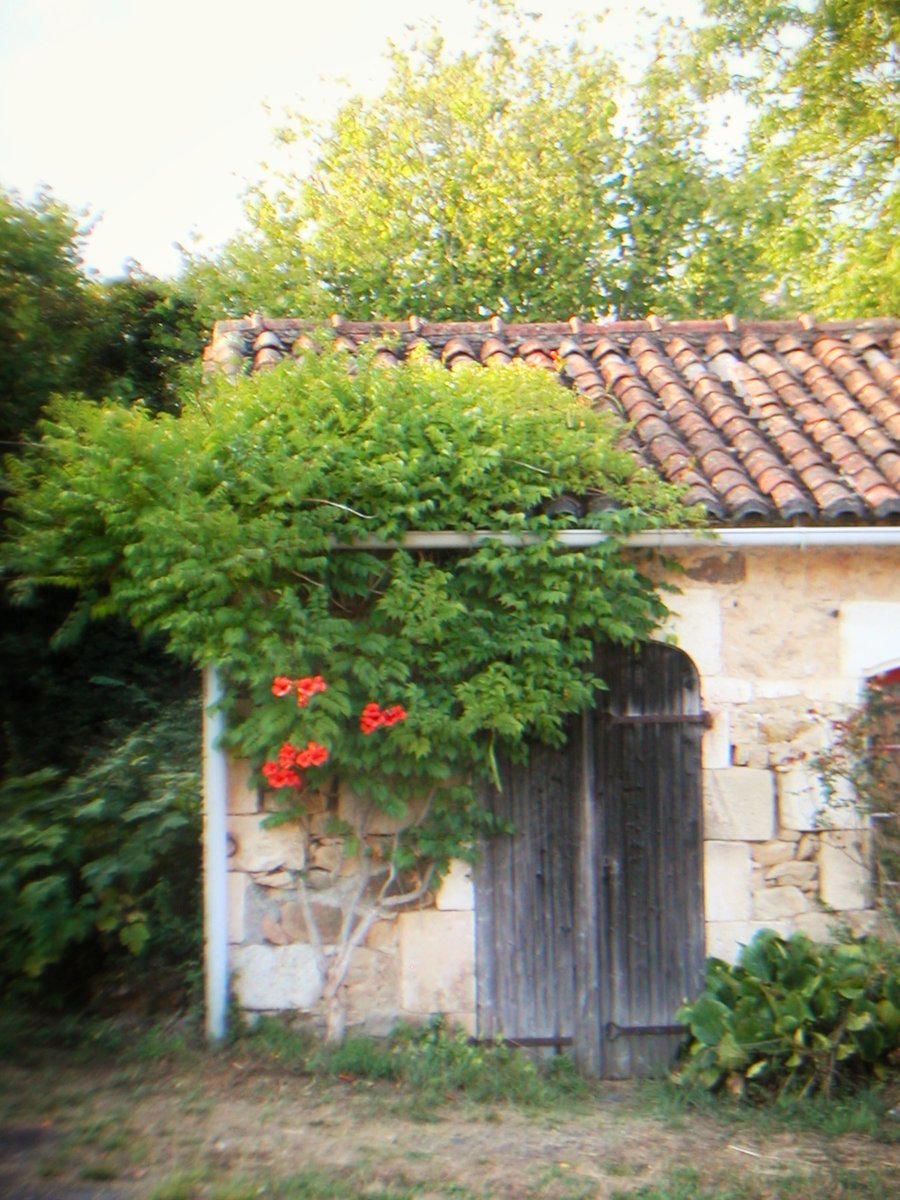 Geocaching in Baye, France
