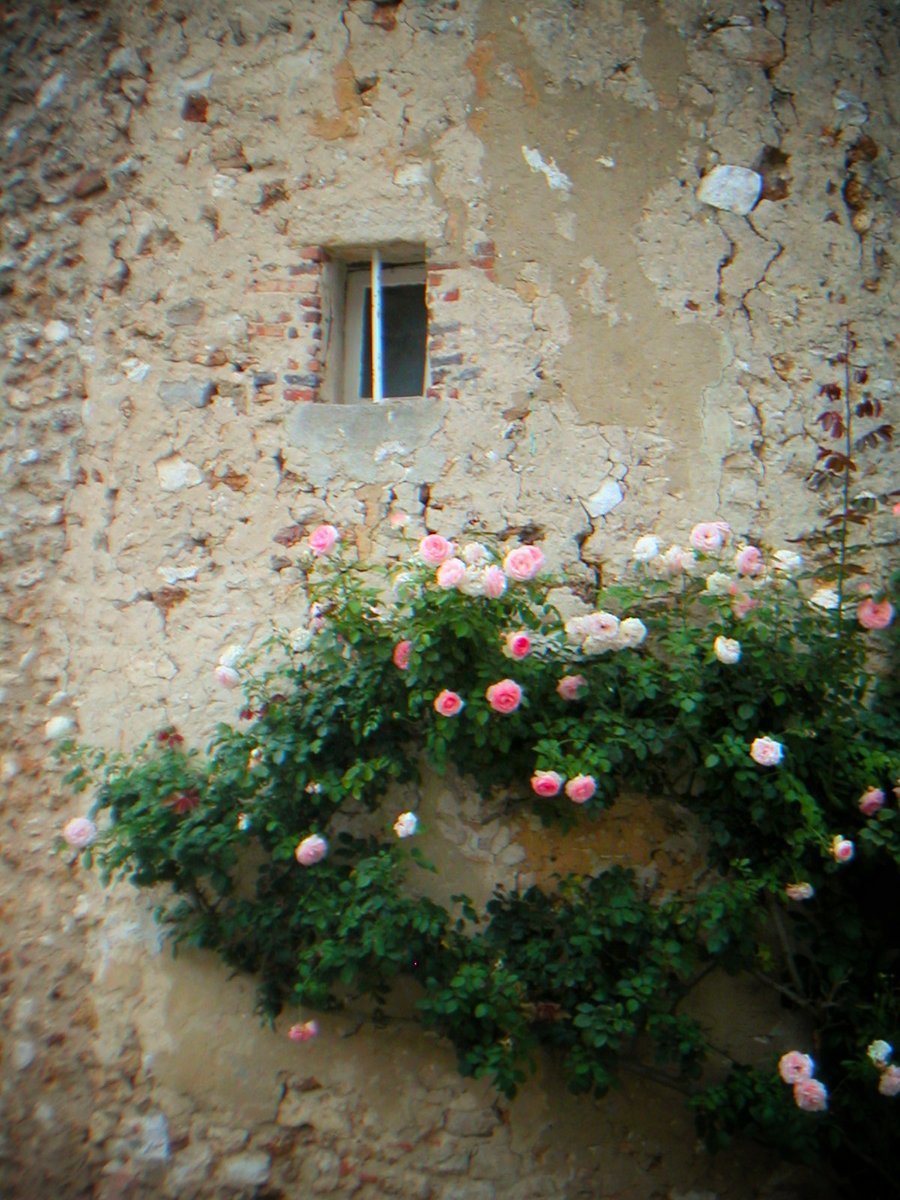 Geocaching in Baye, France