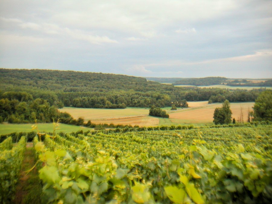 Geocaching in Baye, France