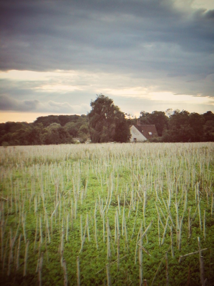 Geocaching in Baye, France