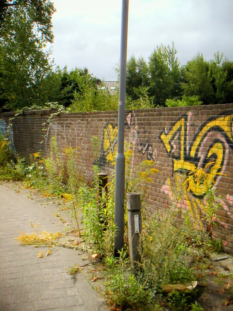 Gronau surroundings, Germany