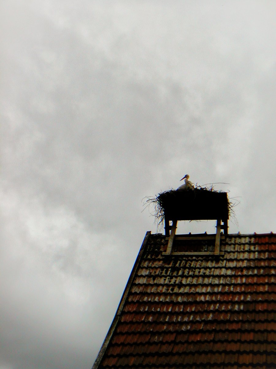 Gronau surroundings, Germany