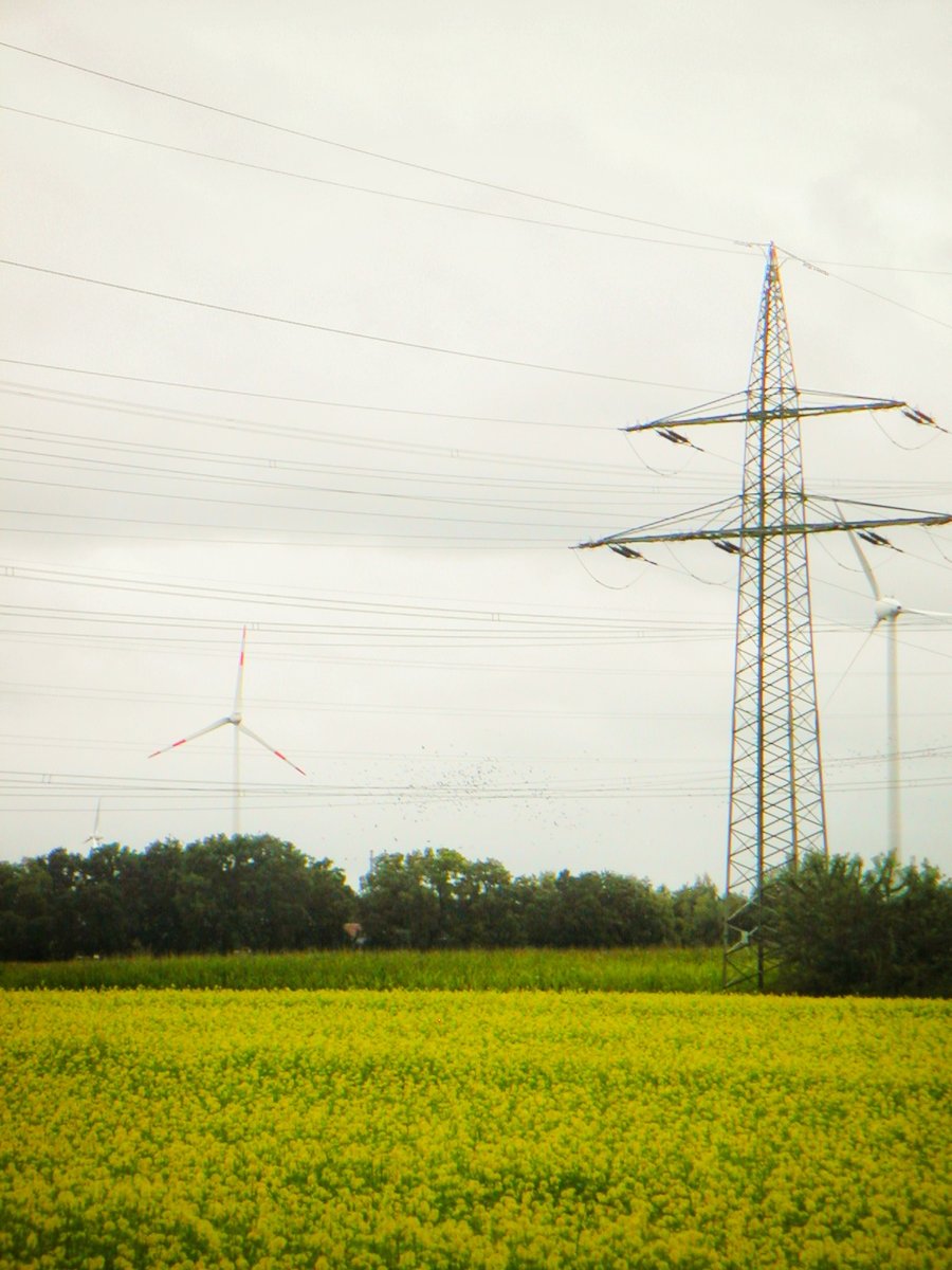 Gronau surroundings, Germany