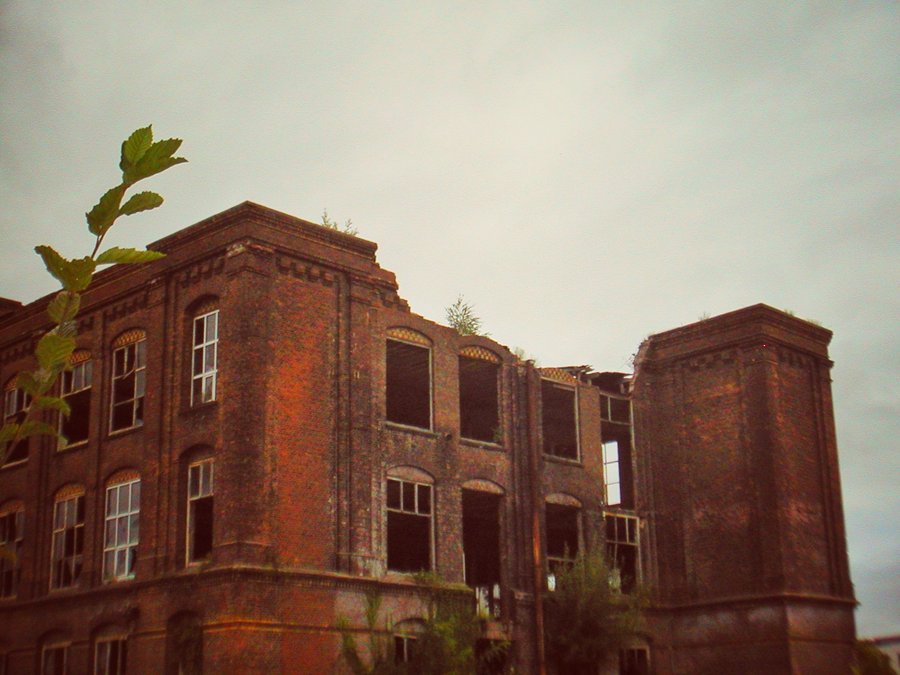 Gronau surroundings, Germany