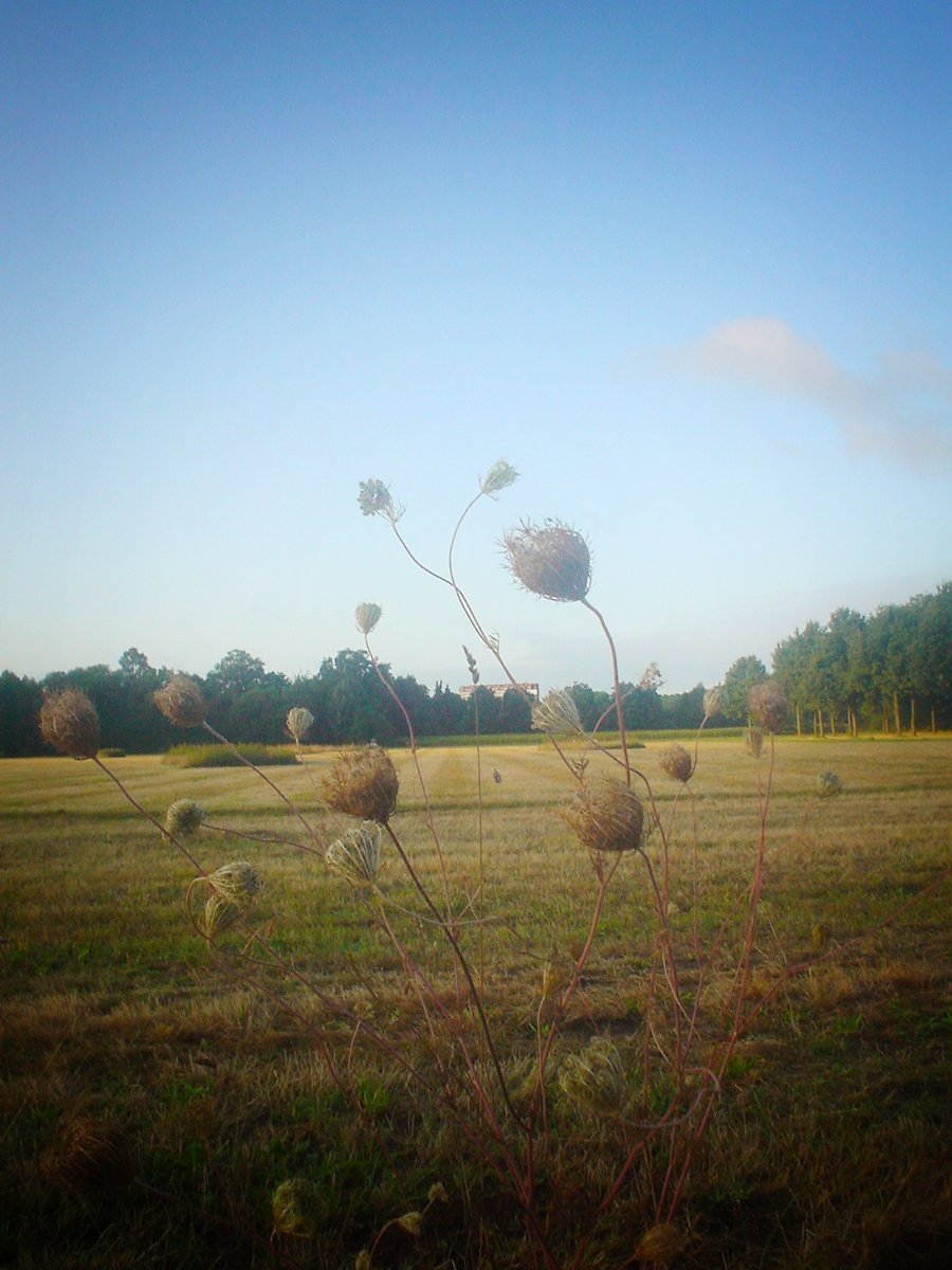 Houtmaatweg – Hengelo, the Netherlands