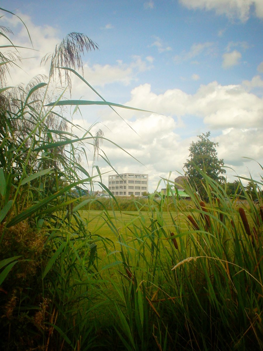 van der Valk terrain – Hengelo, the Netherlands