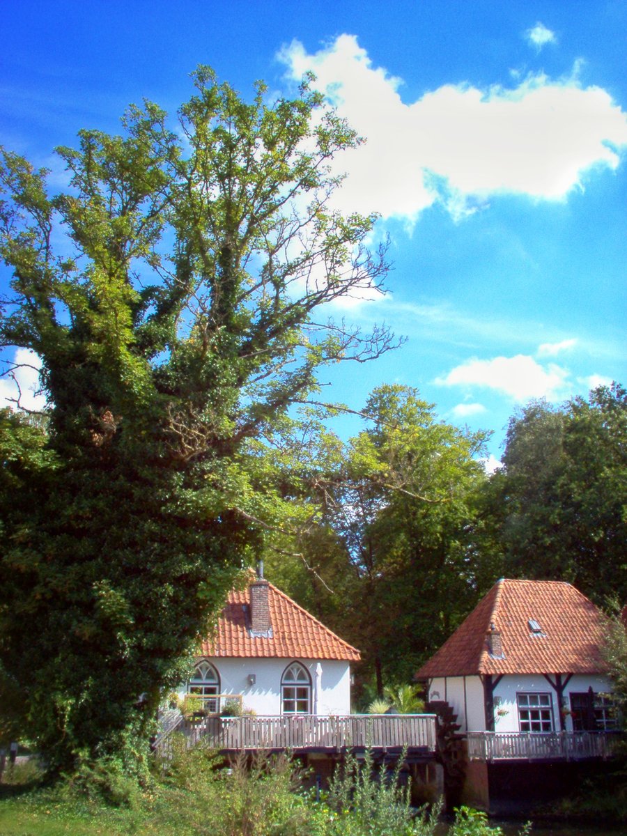 Biketour, Winterswijk surroudings