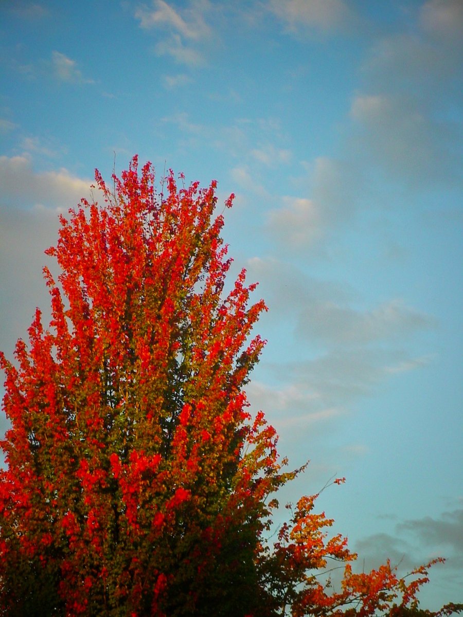 Autumn is (almost) here – Hengelo, the Netherlands
