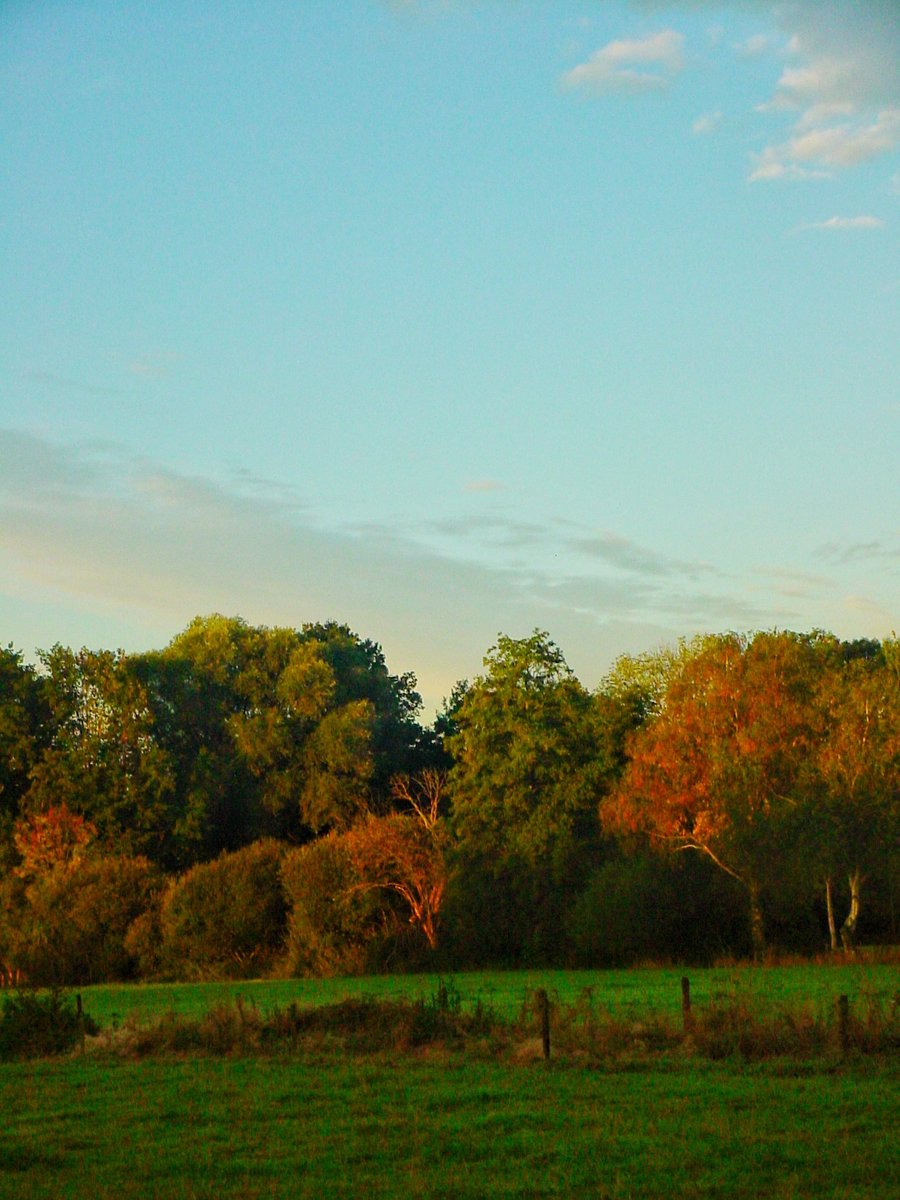Autumn is (almost) here – Hengelo, the Netherlands