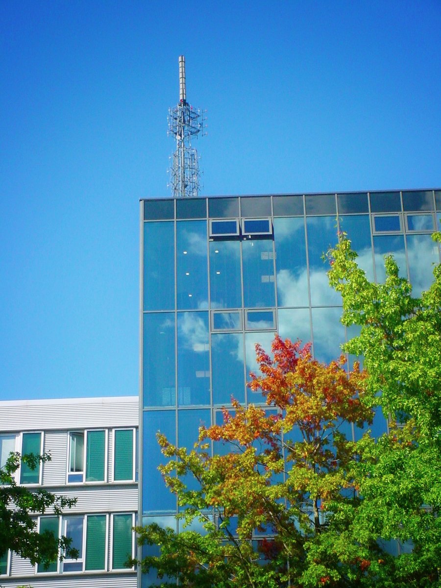 Autumn is (almost) here – Hengelo, the Netherlands