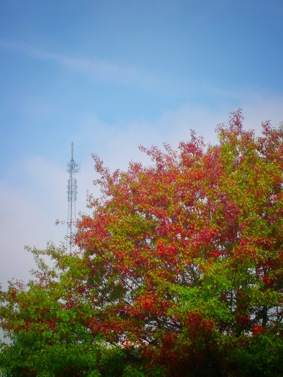 More autumn