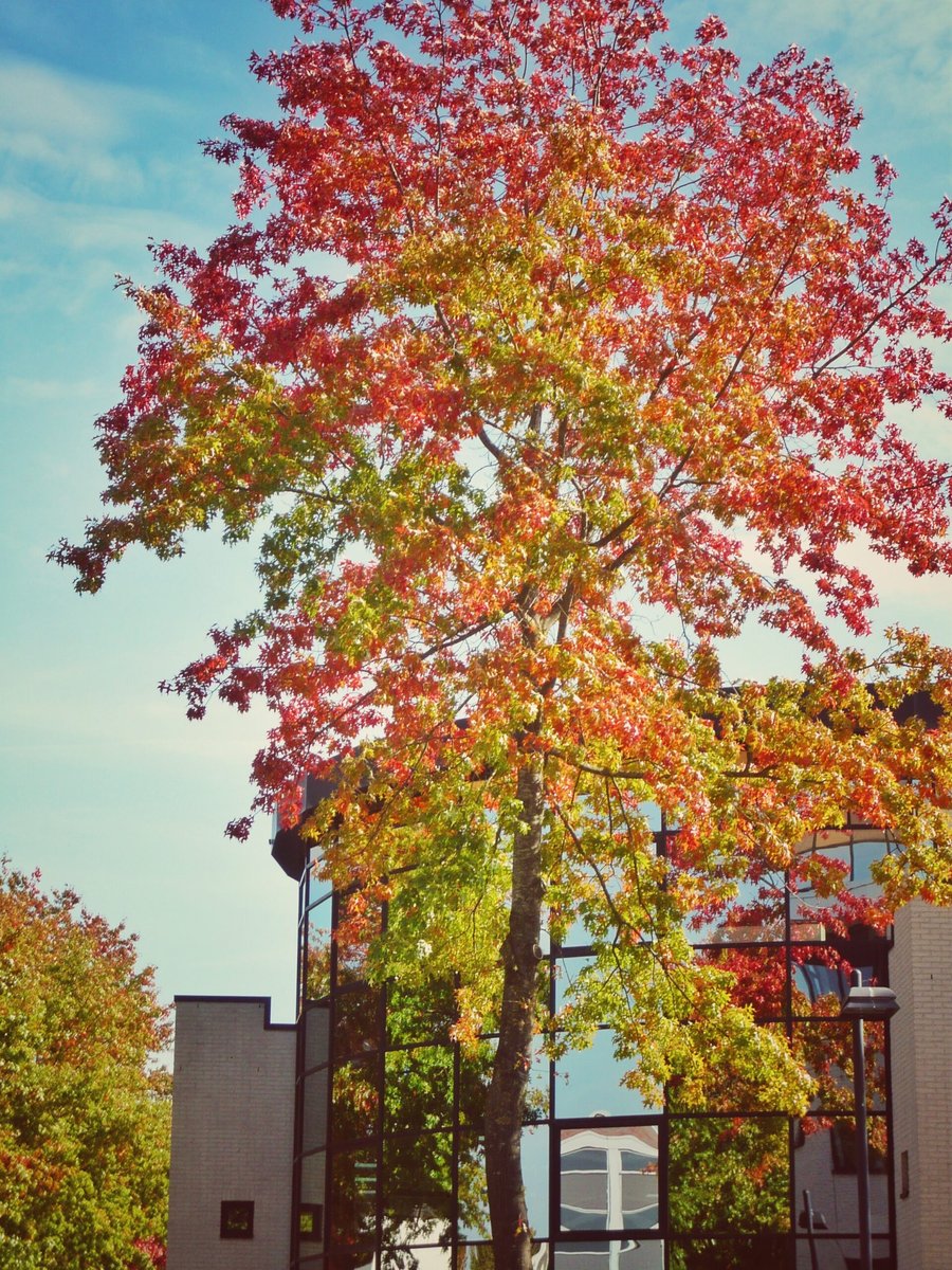 Demmersweg / Hazenweg – Hengelo, the Netherlands