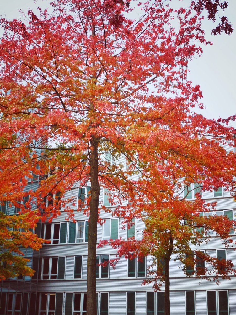 Demmersweg – Hengelo, the Netherlands