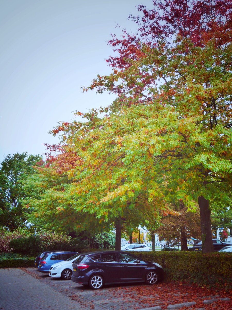Demmersweg – Hengelo, the Netherlands