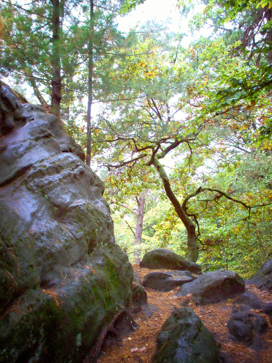 Dörenther Klippen – Germany