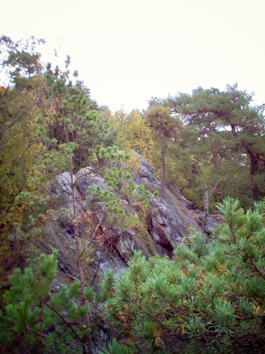 Dörenther Klippen – Germany